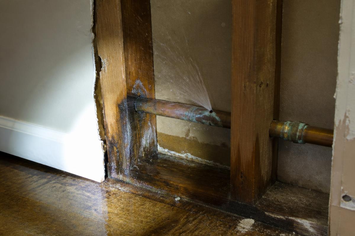 Close-up detail related to leak detection & repair